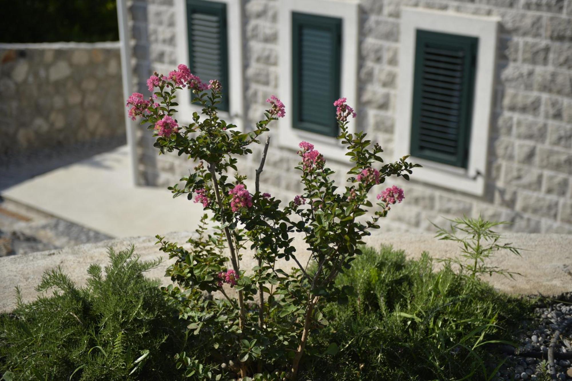 Villa Vista Azzurra Tivat Buitenkant foto